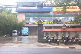 Vì sao tỉnh Lâm Đồng không chấp thuận Công ty Thành Bưởi mở bến xe tạm?