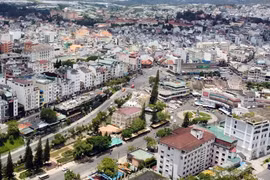 Liệu Đà Lạt và Bảo Lộc có phải hạ loại đô thị sau khi sáp nhập?