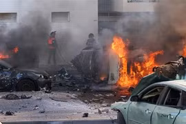 Đại sứ quán Việt Nam ở Israel cung cấp đường dây nóng bảo hộ công dân