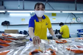 Từ 1-7-2025, sẽ có thêm nhiều người lao động được hưởng lương hưu