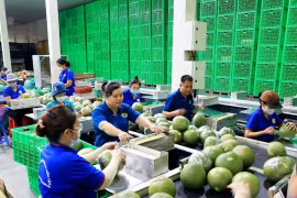 Rau quả Việt hướng tới mục tiêu xuất khẩu 7 tỷ USD trong năm nay