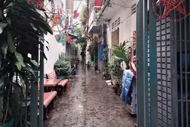 Khởi tố nữ sinh viên sát hại con mới sinh