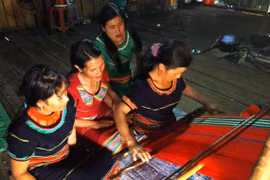 Những cánh chim không mỏi