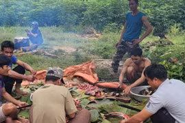 Bữa cơm cộng cảm