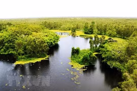 Kế hoạch tổ chức thẩm định Quy hoạch bảo tồn đa dạng sinh học quốc gia thời kỳ 2021-2030 