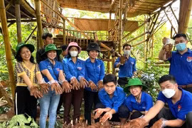 Người trẻ lên non - Kỳ cuối: Kiến tạo lá chắn xanh