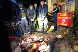 Bắt 2 đối tượng mang dao, kích điện đi trộm chó 