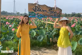 Đầm sen của chàng trai 9x Quảng Bình hút khách 