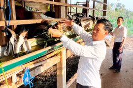 Khơi dậy ý chí vươn lên thoát nghèo