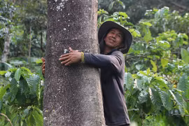 Ông nông dân lạ đời: 'Tạo chút phước đức cho cộng đồng, có lỗ lã đâu mà lo'