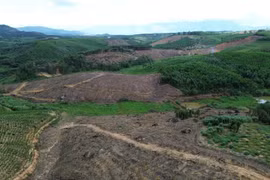 Cao tốc Buôn Ma Thuột - Khánh Hòa phát sinh nhiều vấn đề liên quan đất rừng