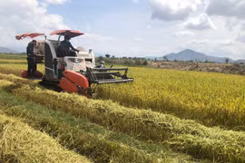 Nhà nước nắm giữ vốn góp chi phối đối với công ty nông nghiệp có phương án sử dụng đất từ 500 ha trở lên