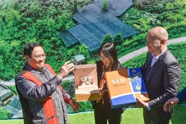 Sâm Việt giữa muôn vàn khó khăn: Học người Hàn để phát triển sâm Việt Nam