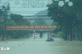 Cảnh báo mưa dông xuất hiện ở nhiều khu vực trên cả nước