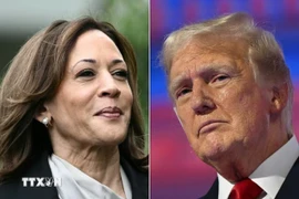 Bà Kamala Harris bác bỏ đề xuất tranh luận của cựu Tổng thống Donald Trump