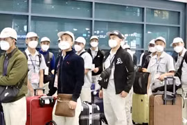 Cảnh báo lừa đảo xuất khẩu lao động, du lịch miễn thị thực