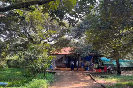 Du lịch miệt vườn ở Long Phước