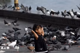 Campuchia: Bé gái 6 tuổi nhiễm cúm gia cầm H5N1