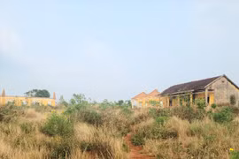 Doanh nghiệp thuê đất vị trí đắc địa ở Đắk Lắk rồi bỏ hoang suốt 14 năm