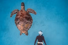 Nhiếp ảnh gia Việt Nam thắng giải cuộc thi ảnh hàng đầu thế giới