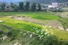 Vẻ đẹp làng du lịch cộng đồng Kon Pring