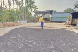 Mùa thương nhớ ở miền nắng gió - Kỳ cuối: Cay nồng 'vàng đen'