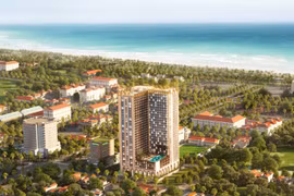 3 cổ phiếu "họ APEC" đồng loạt giảm sàn, doanh nghiệp lên tiếng về tin đồn thất thiệt