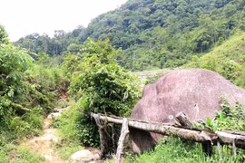 Kon Tum: Đã tìm thấy hai cha con bị mất tích trong rừng nhiều ngày