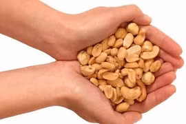 Bác sĩ chia sẻ '5 bí quyết ăn uống' của người sống thọ nhất thế giới