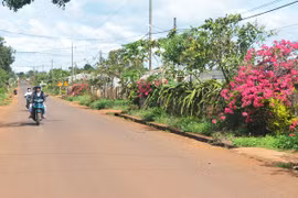 Lan tỏa phong trào toàn dân đoàn kết xây dựng nông thôn mới, đô thị văn minh