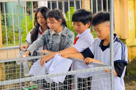 Học sinh trường xã xung kích bảo vệ môi trường