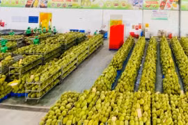 Điểm sáng nông nghiệp