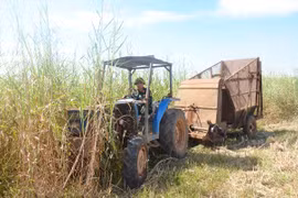 Cải tiến máy cắt, băm cỏ tiết kiệm hàng trăm triệu đồng 