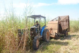 Cải tiến máy cắt, băm cỏ tiết kiệm hàng trăm triệu đồng 