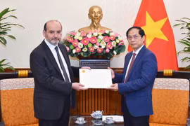 Thổ Nhĩ Kỳ xúc động trước tình cảm và sự hỗ trợ của Việt Nam 