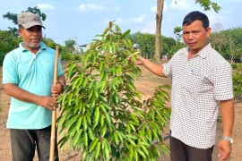 Trăn trở làng tái định cư bên lòng hồ thủy điện Ia Ly