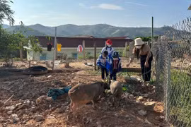 Muôn nẻo tình thầy