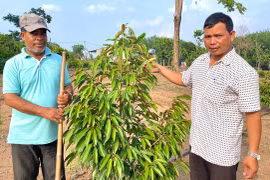 Trăn trở làng tái định cư bên lòng hồ thủy điện Ia Ly