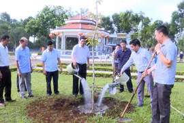 Thủ tướng Chính phủ yêu cầu tổ chức triển khai “Tết trồng cây đời đời nhớ ơn Bác Hồ” phải thiết thực, hiệu quả