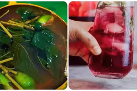 Uống nước lá tía tô có tác dụng gì với sức khoẻ?