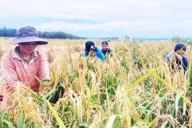 Công ty 72 hỗ trợ người dân vùng biên phát triển kinh tế