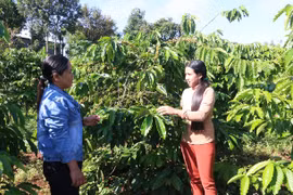 “Không để ai bị bỏ lại phía sau”