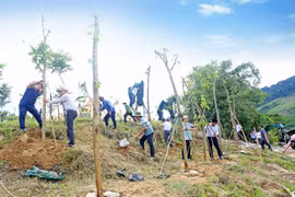 Ủy ban Kiểm tra Tỉnh ủy phát động trồng cây tại Bia di tích Khu căn cứ địa cách mạng xã Krong