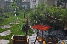 Cơn mưa lớn giải nhiệt cho người dân Tây Nguyên