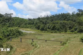 Kon Tum: Xảy ra động đất có độ lớn 4,0 tại huyện Kon Plông