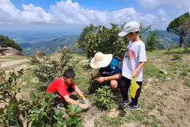 Lên núi trồng cây 