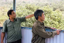 Giữ rừng trên đèo cao