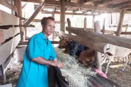 Ia Sao đẩy mạnh truyền thông về giảm nghèo bền vững