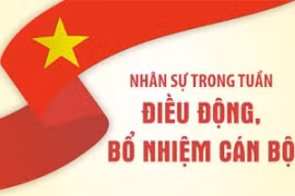 Nhân sự trong tuần: Điều động, bổ nhiệm cán bộ nhiều địa phương