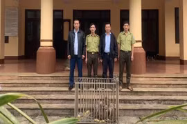 Vận động giao nộp 8 cá thể khỉ là động vật nguy cấp, quý hiếm